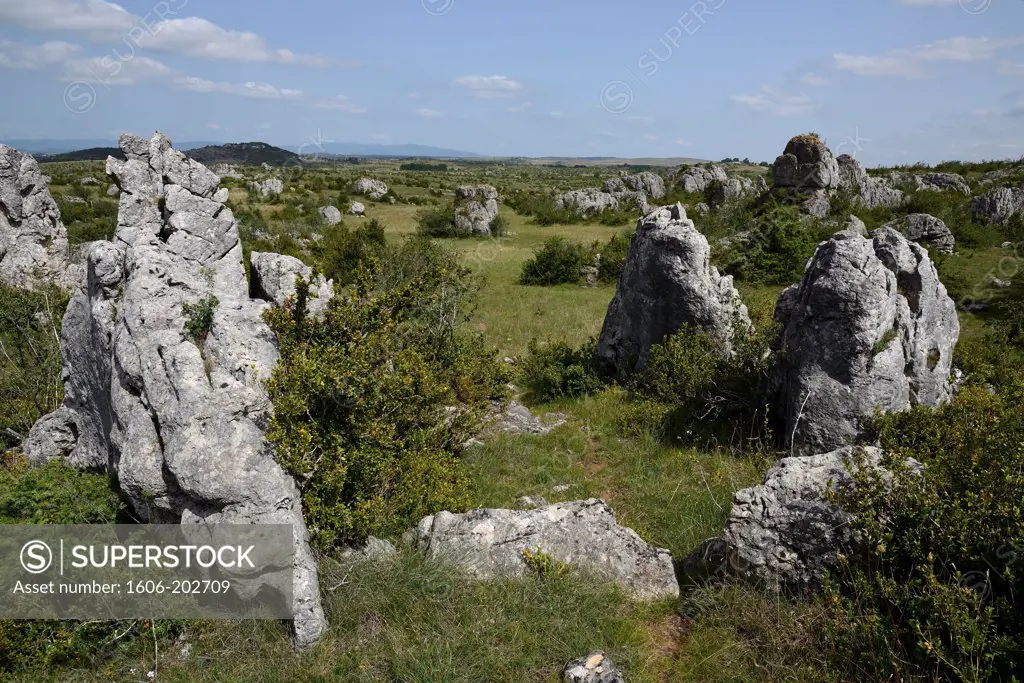 France,  Rock Landscape Of The Larzac Plateau.