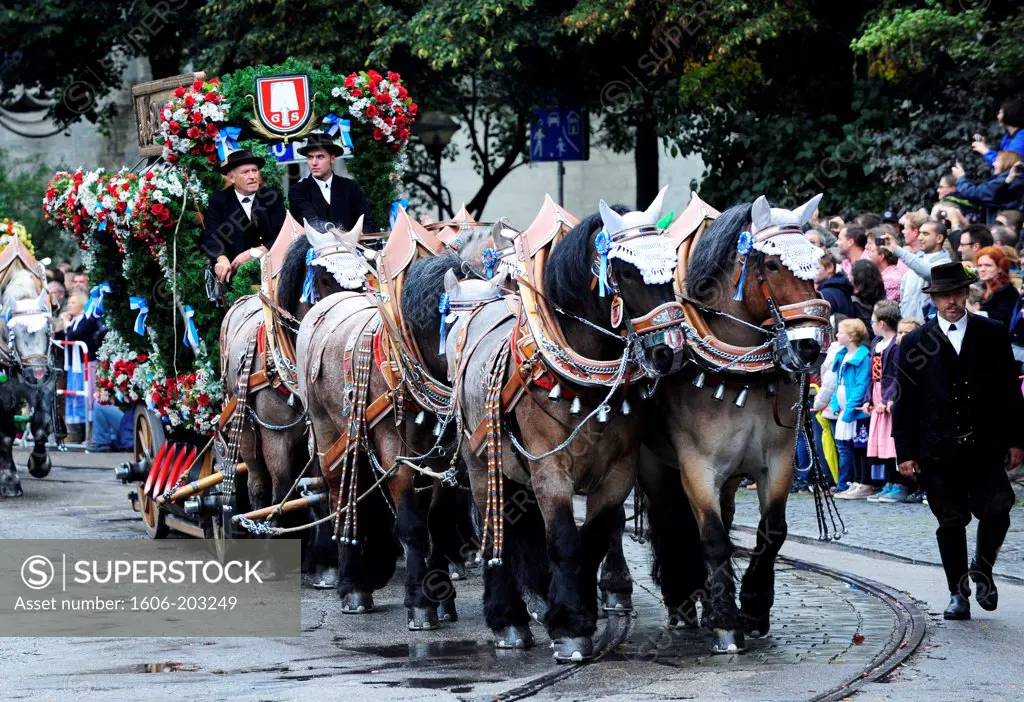 Coachmen And Horse On Oktoberfest Parade In Munich, Germany
