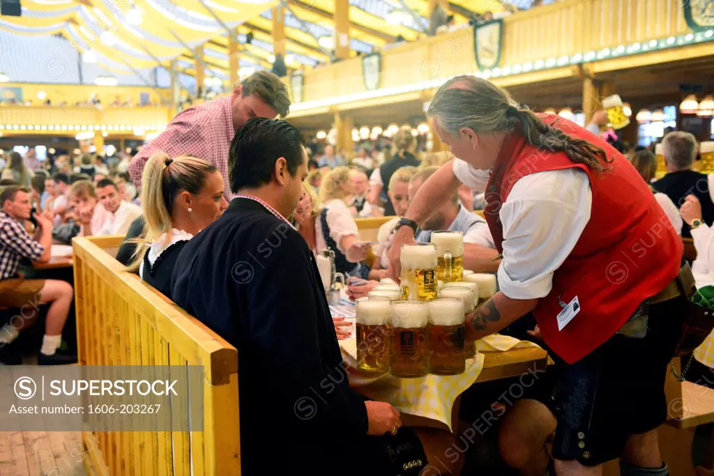 Male Waiter With Beer Steins During  Oktoberfest Festival In Munich, Germany