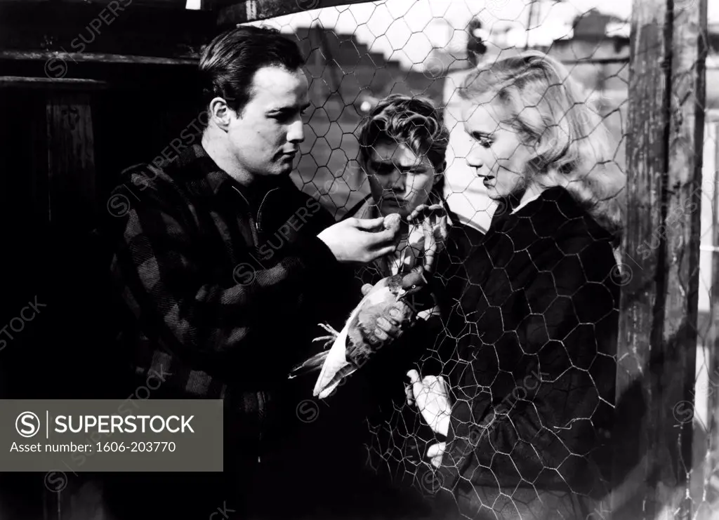 Marlon Brando, Tommy Handley and Eva Marie Saint, On the Waterfront, 1954 directed by Elia Kazan  (Columbia Pictures)