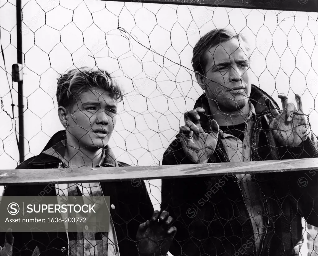 Tommy Handley and Marlon Brando, On the Waterfront, 1954 directed by Elia Kazan  (Columbia Pictures)