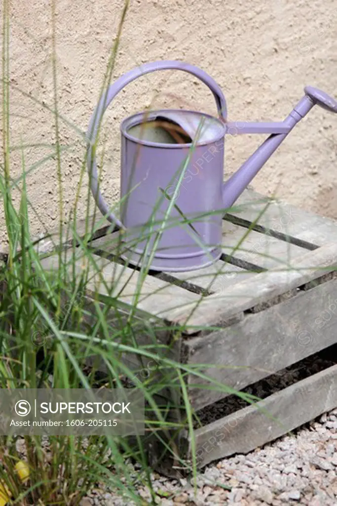 Purple watering-can