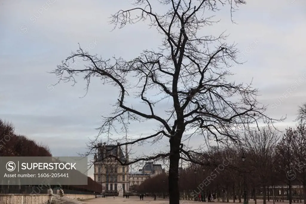 France, Paris, Jardins des Tuileries in winter