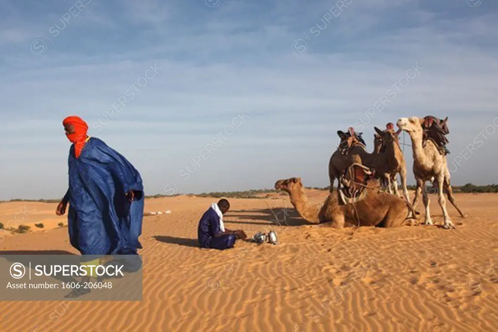 West Africa, Senegal, desert of Lompoul
