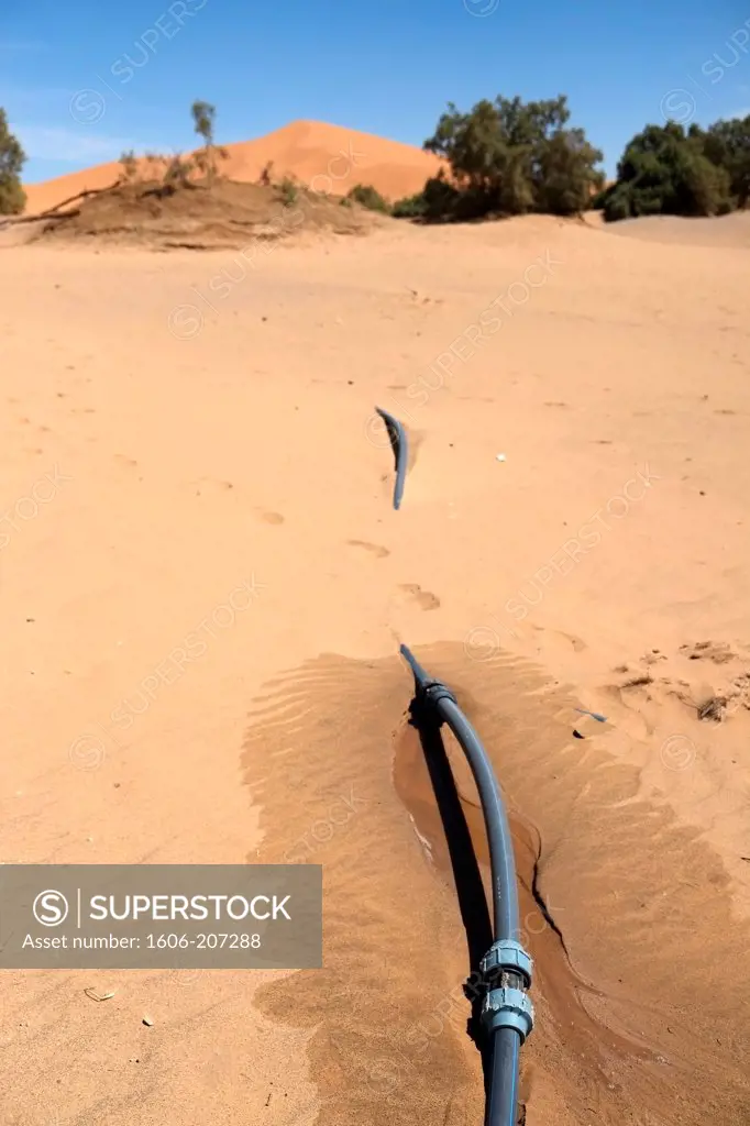 Africa,Morocco: water leak on a catchment in the dunes of Erg Chebbi.