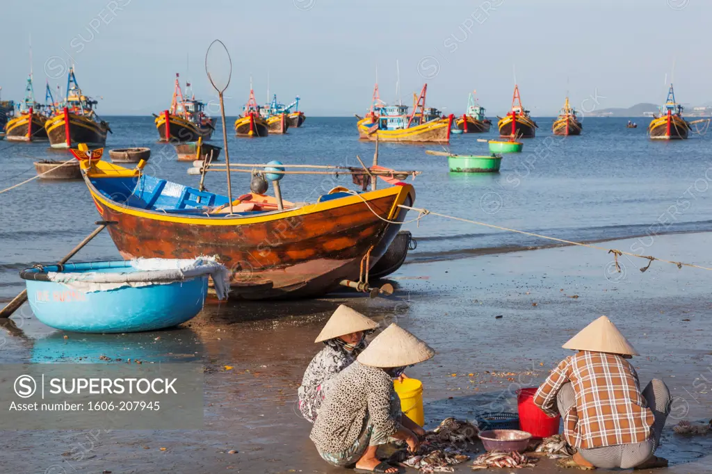 Vietnam,Mui Ne,Mui Ne Beach,Women Sorting Fishing Catch