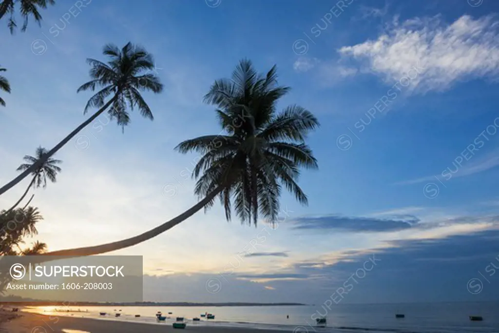 Vietnam,Mui Ne,Mui Ne Beach,Palm Trees at Sunrise