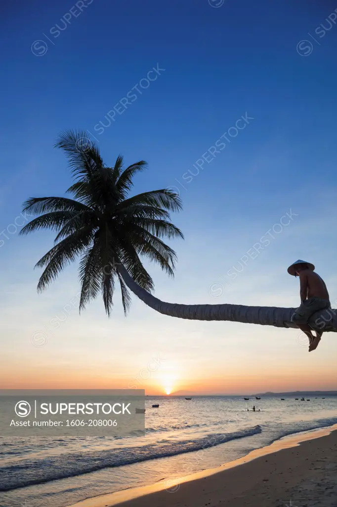Vietnam,Mui Ne,Mui Ne Beach,Palm Trees at Sunset