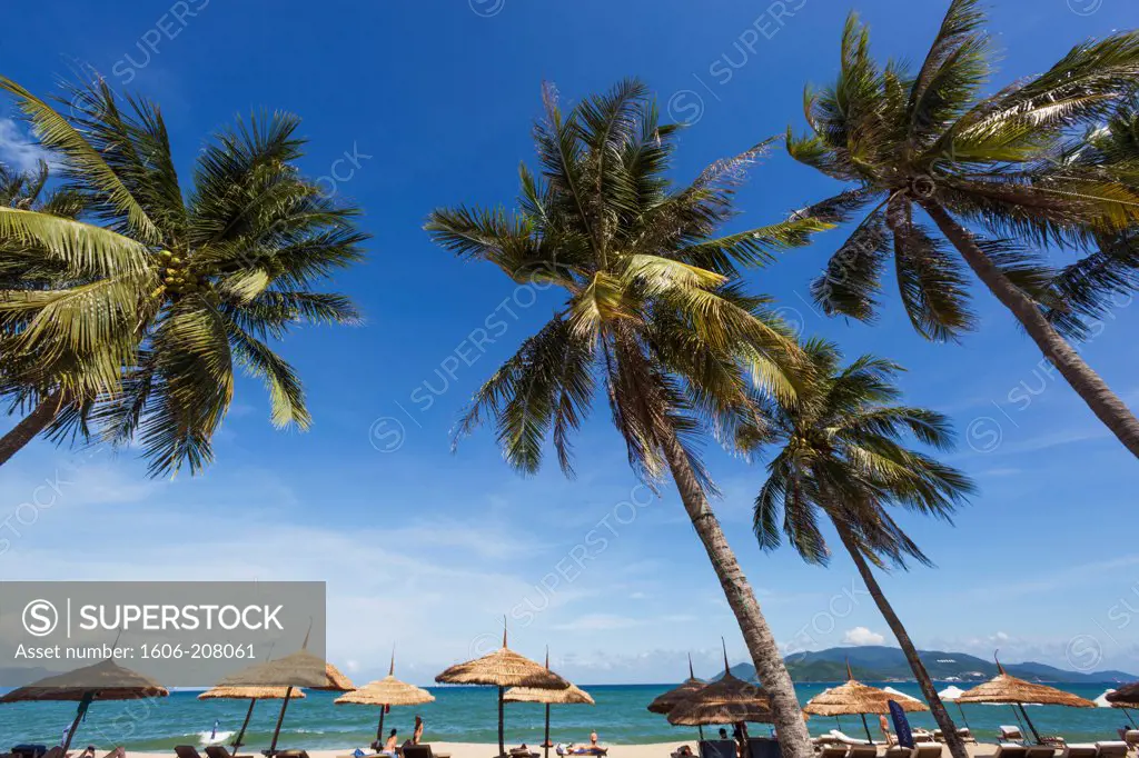 Vietnam,Nha Trang,Nha Trang Beach,Palm Trees
