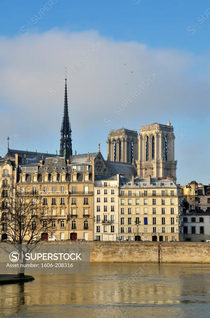 France, Ile-de-France, Paris, Buildings of banks of the Seine and Notre Dame Cathedral, UNESCO