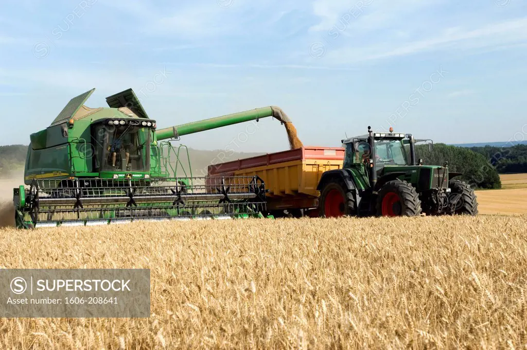 France, Combine harvester in a field unloading grains of wheat in a trailer