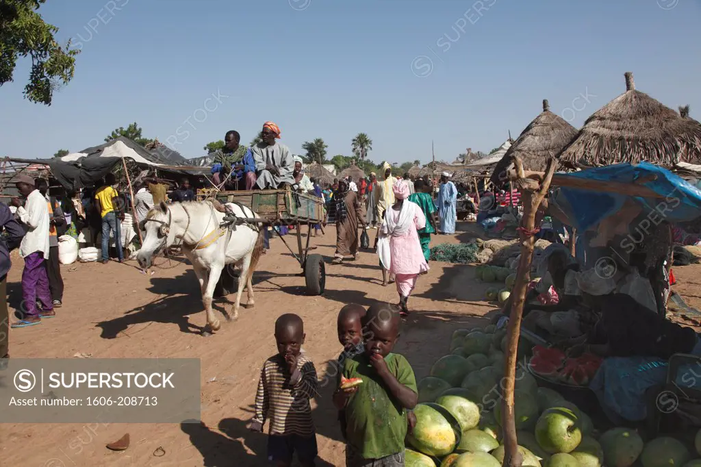 West Africa, Senegal (Sine Saloum area) Ngueniene market near Joal-Fadiouth