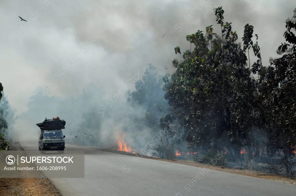 TOGO agricultural practice of the land burning