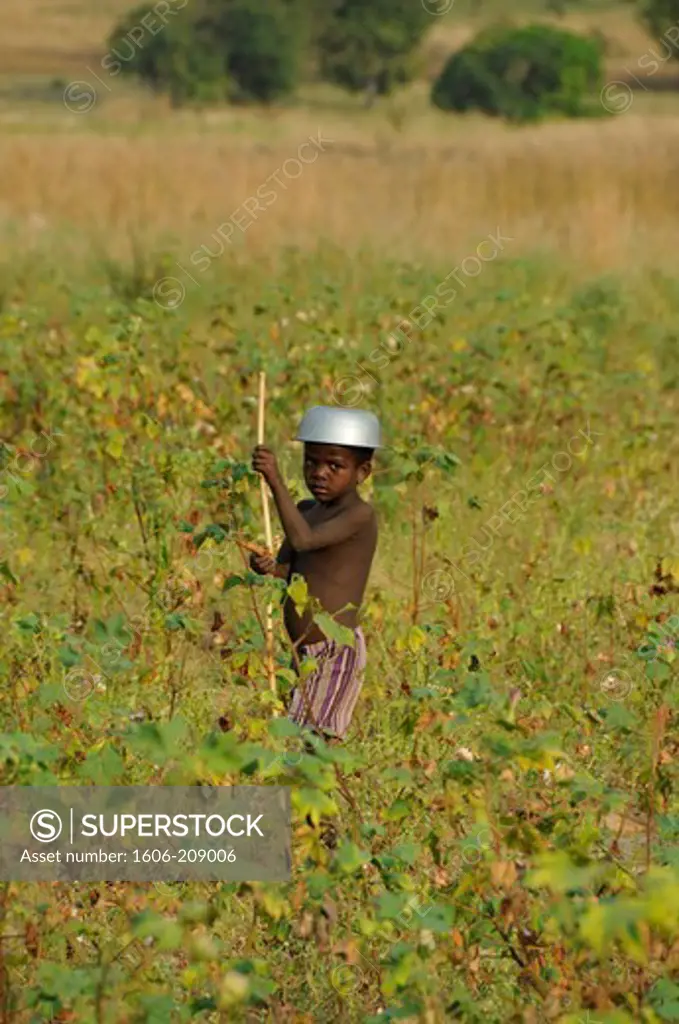 TOGO a young boy in a field is using a pot as a hat