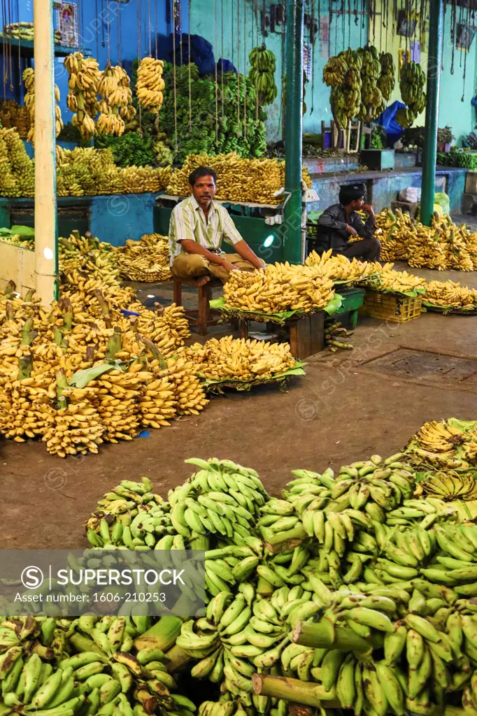 India, Karnataka State, Mysore City, Devarala Market, banana market