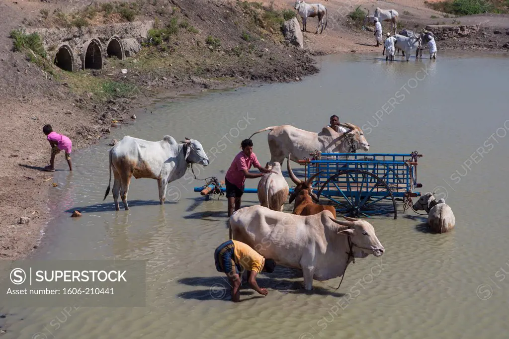 India, Karnataka State,near Badami City, washing