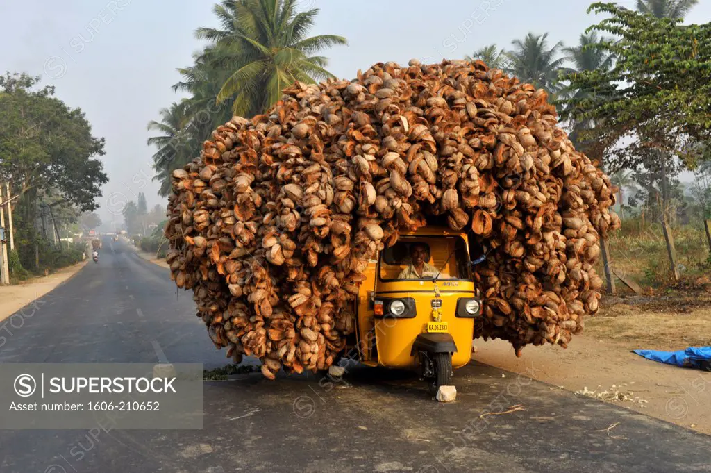 Auto-rickshaw transporting coconuts ,Karnataka state,South India,Asia