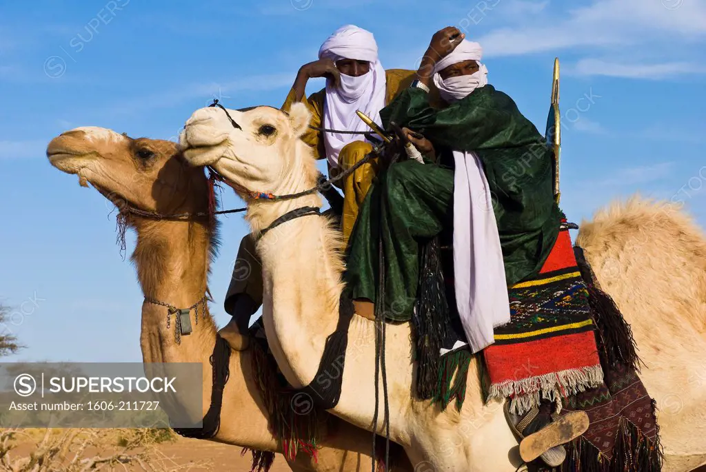 West Africa, Niger, Agadez Province, Agharous village, the Aïr festival, the most beautiful camel contest