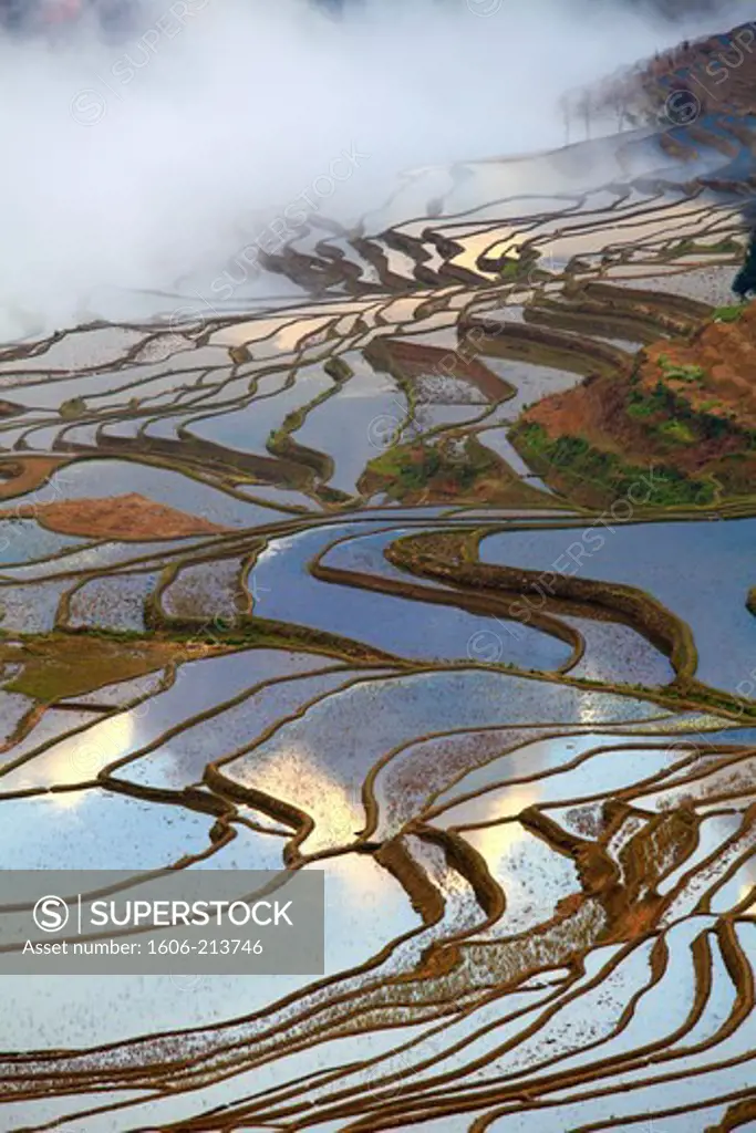 Asia,China, Yunnan, Yuanyang, Shengcun, rice terraces,
