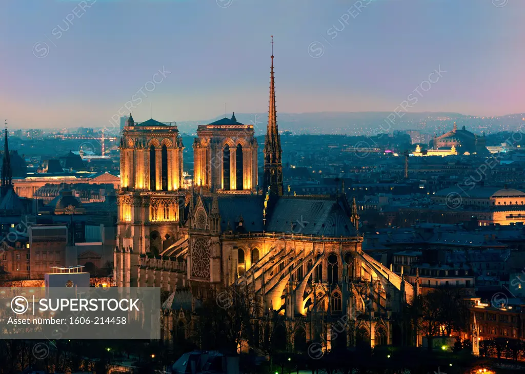 France, Île-de-France, Paris, Notre Dame de Paris, aerial view