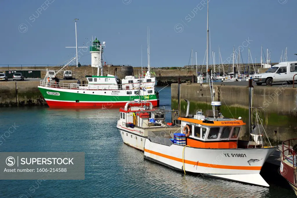 France, Vendée, Yeu island, fishing boats in Port-Joinville harbour.