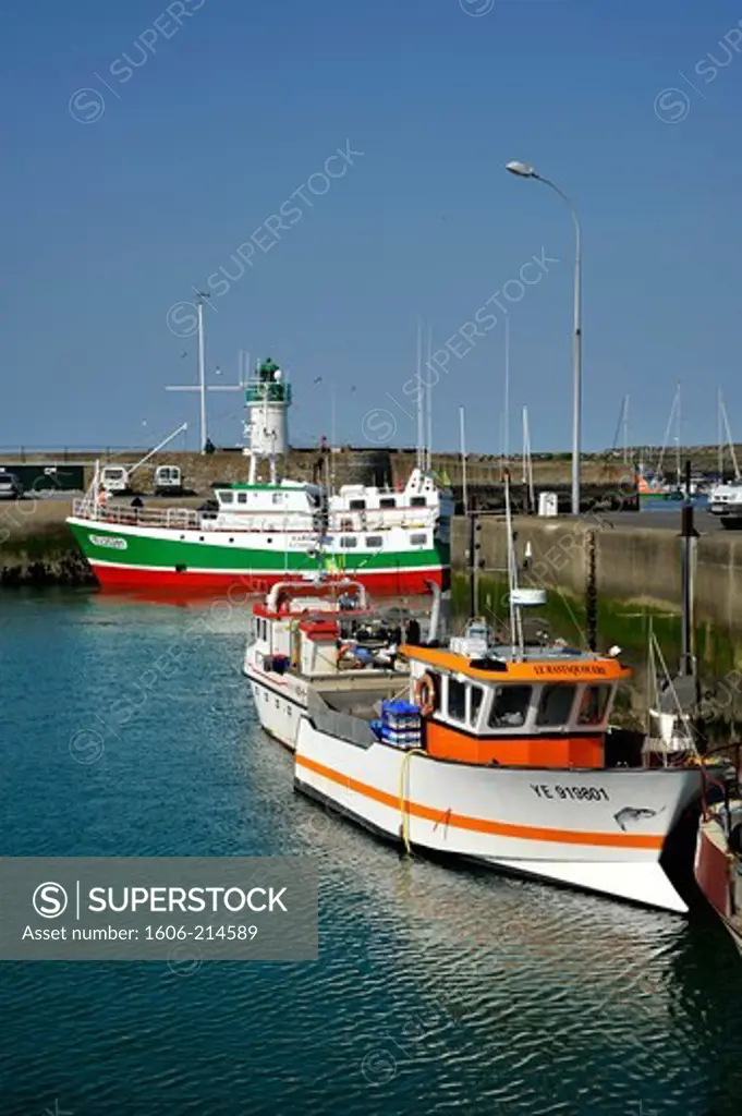 France, Vendée, Yeu island, fishing boats in Port-Joinville harbour.