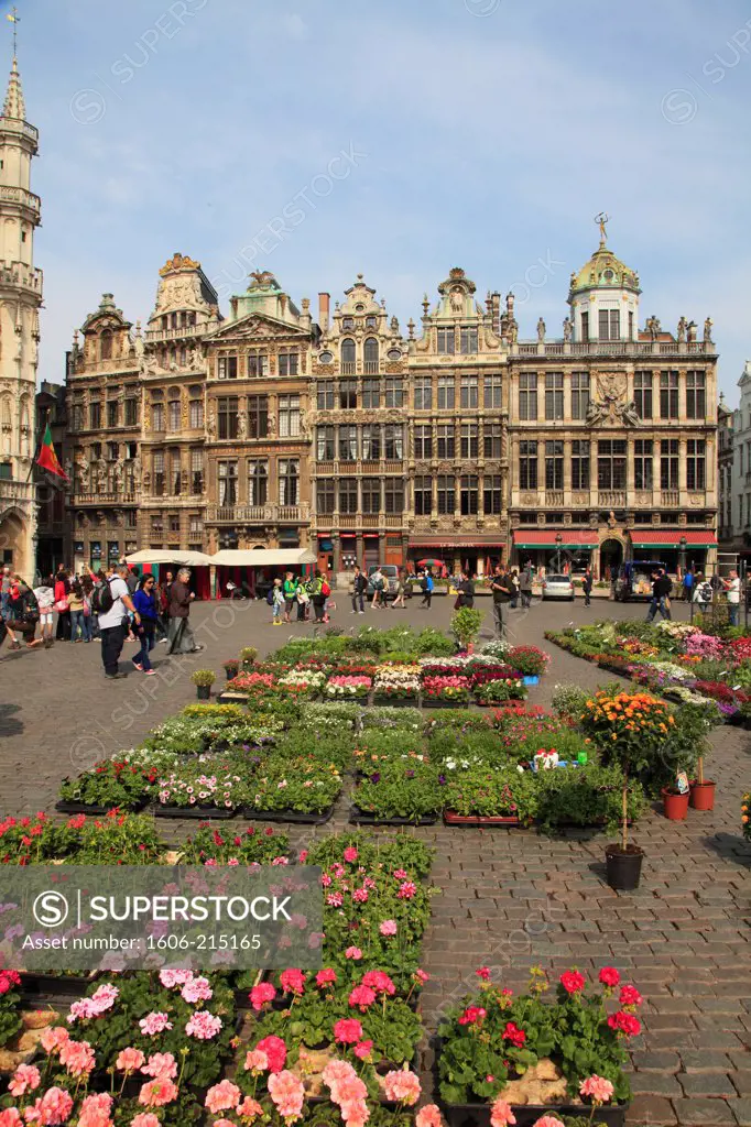 Belgium, Brussels, Grand Place, flower market,