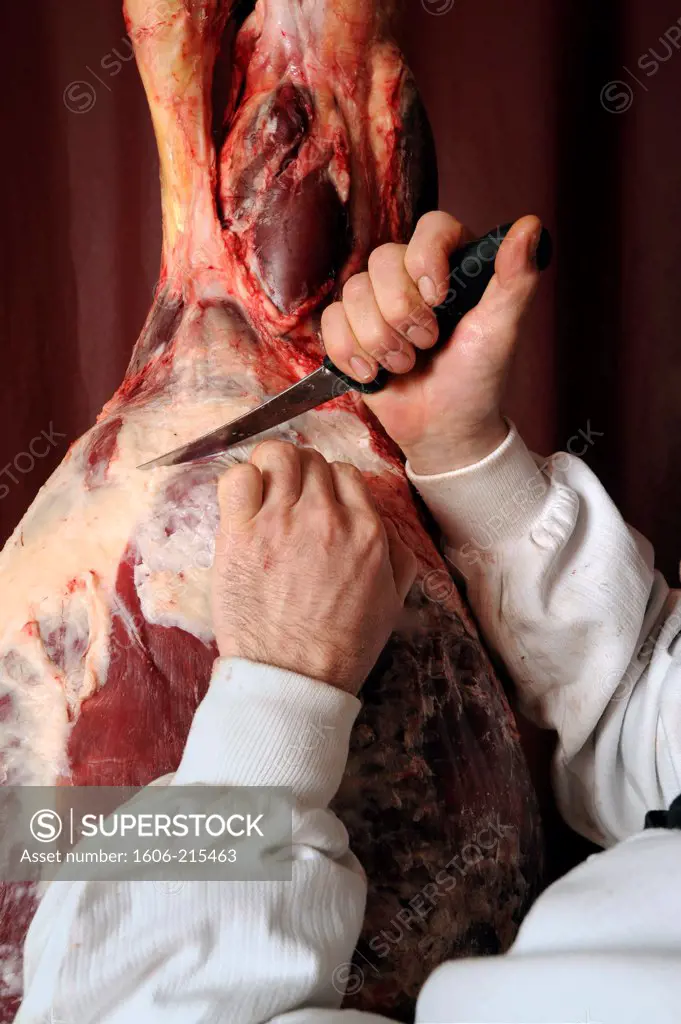 France, Paris, a butcher carves a thigh of beef with a carving knife