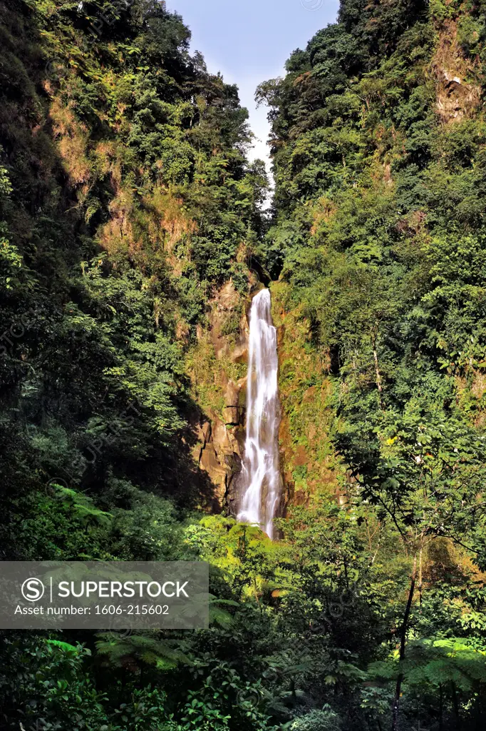 Dominica, Caribbean, West Indies, waterfall, Trafalgar Falls in Roseau valley.