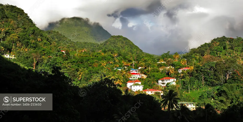 West Indies, Caribbean, Dominica, Roseau valley.