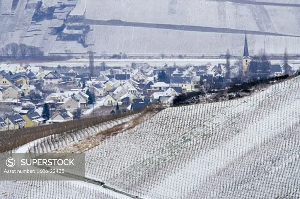 Germany, Rhinland-Palatinate, Leiwen in winter, vineyards