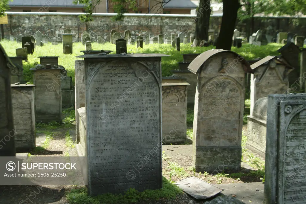 IN*Pologne, Cracovie, cimetière juif, gros plan sur pierres tombales avec inscriptions hébraïques, verdure