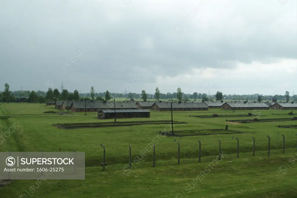 IN*Pologne, camp d'Auschwitz Birkenau, vue générale, verdure