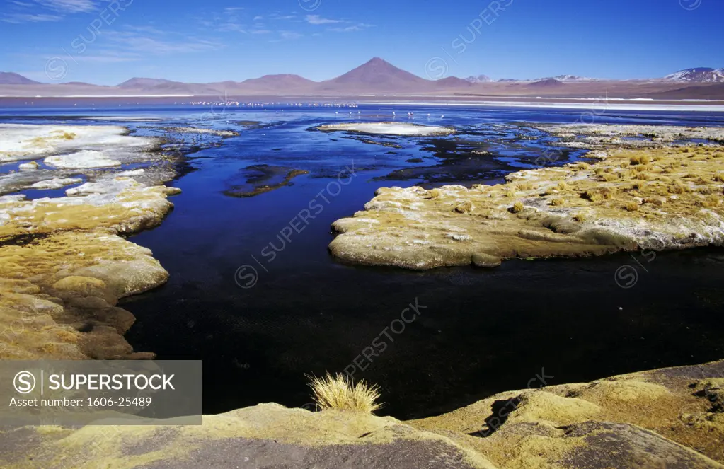 Bolivia, Lipez region, Colorada lagoon