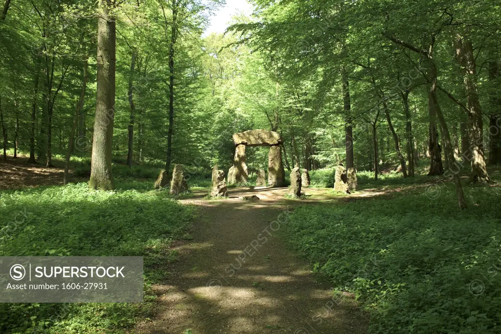 Belgium, Bruxelles, Soignes forest, dolmen, forest monument