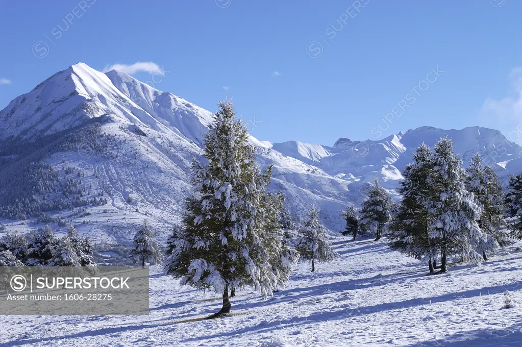 France, Provence-Alpes-Côte d'Azur, Hautes Alpes,