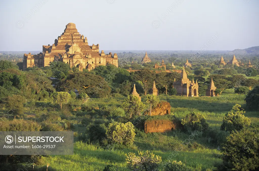 Burman, Bagan, overall view of temples