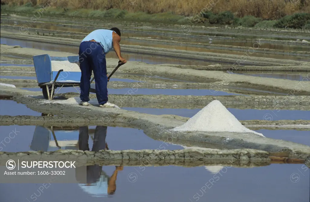 France, Poitou-Charentes, Charente-Maritime, Ile de Ré, salt marsher working in salt marsh