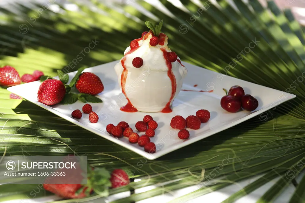 Close-up on white pot full of ice cream, coulis and red berries in white plate, palm leave
