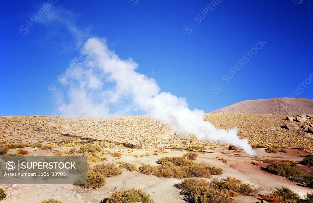Chile, Altiplano, geysers del Tatio, steam