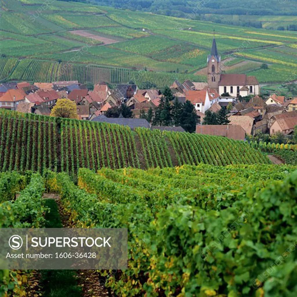 France, Alsace, Haut-Rhin, Rodern village and vineyards