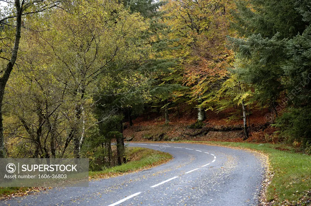 Road of les Monédières in autumn