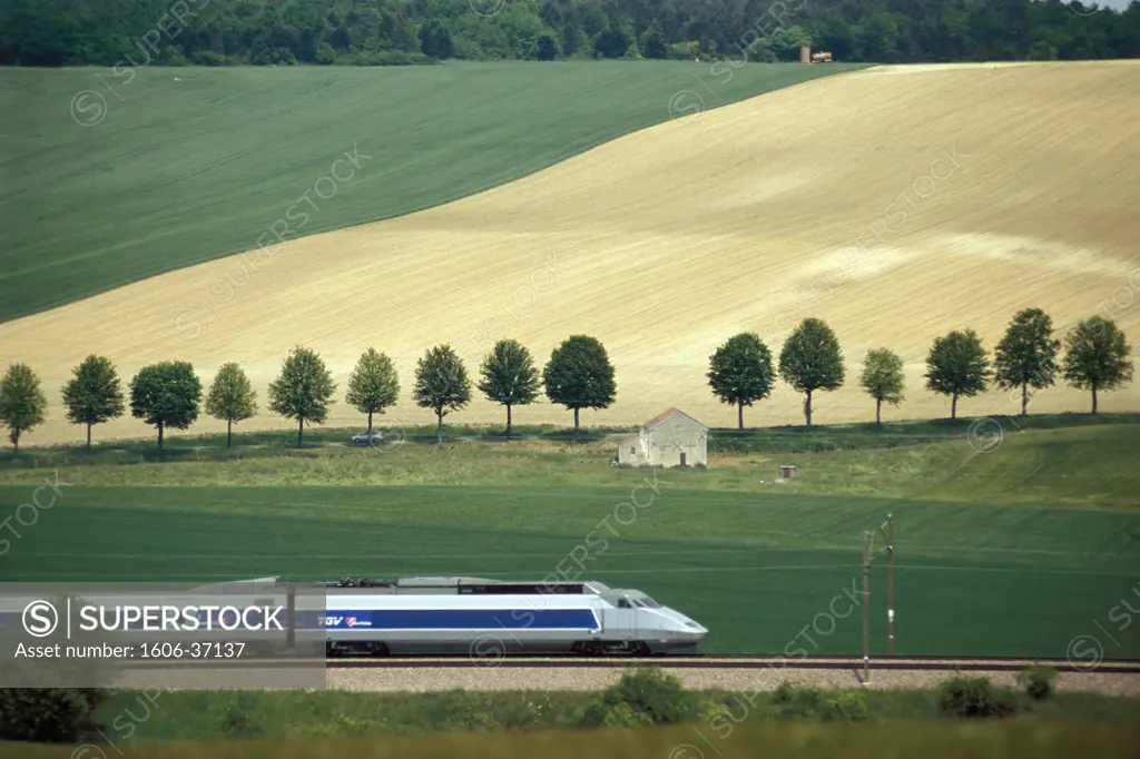 Tonnerre region, TGV( high-speed train) in the country