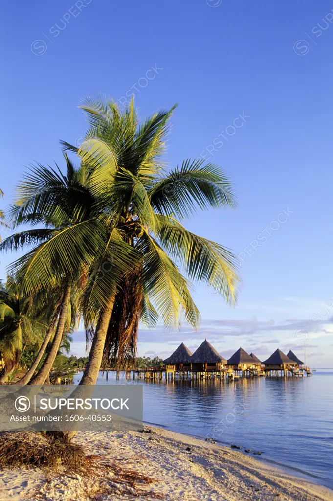 French Polynesia, Tuamotu archipelago, Rangiroa island, Kia Ora hotel