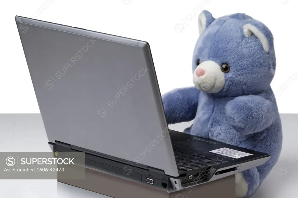 Teddy bear using a laptop