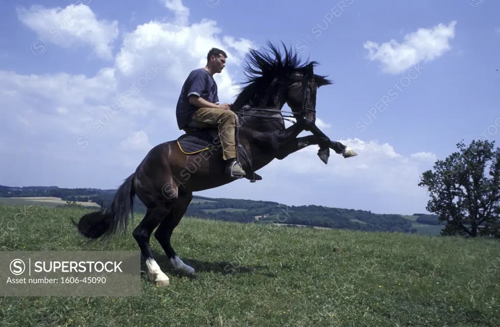 Rider on rearing horse