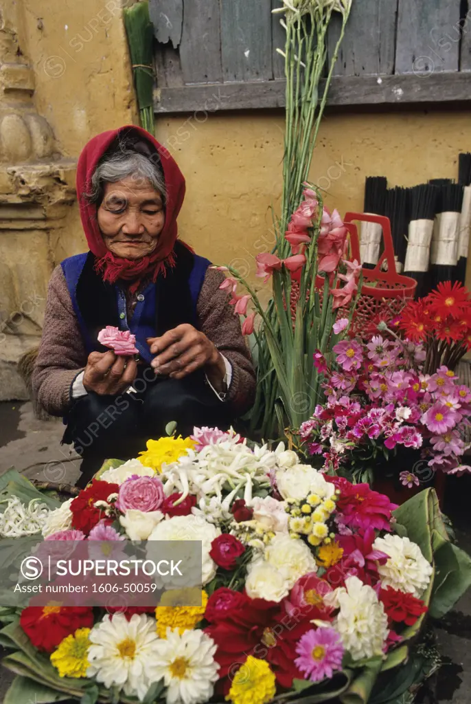 Vietnam, Haiphong, old woman selling flowers for the Tet festival