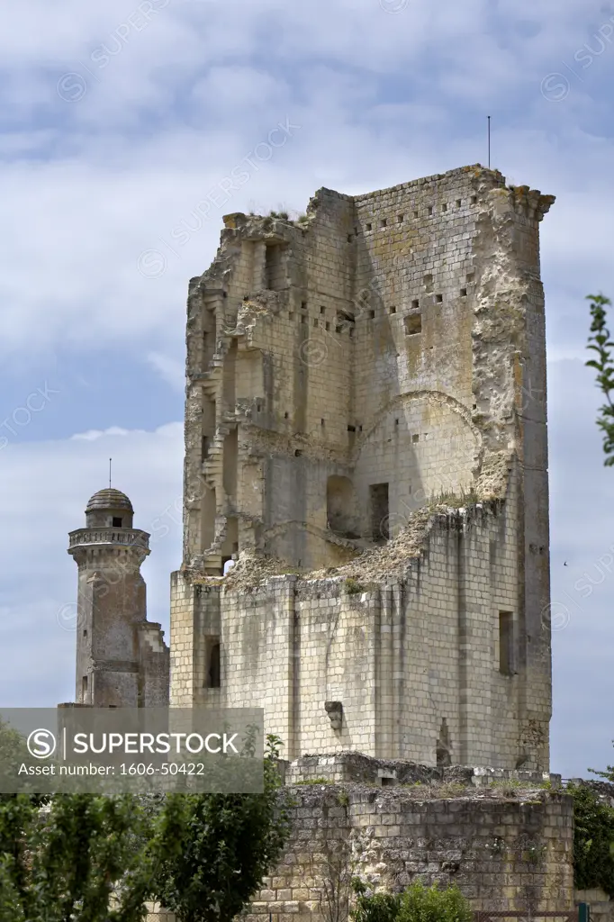 France, Centre-Val de Loire, Indre et Loire, Le Grand Pressigny, ruins of the castle