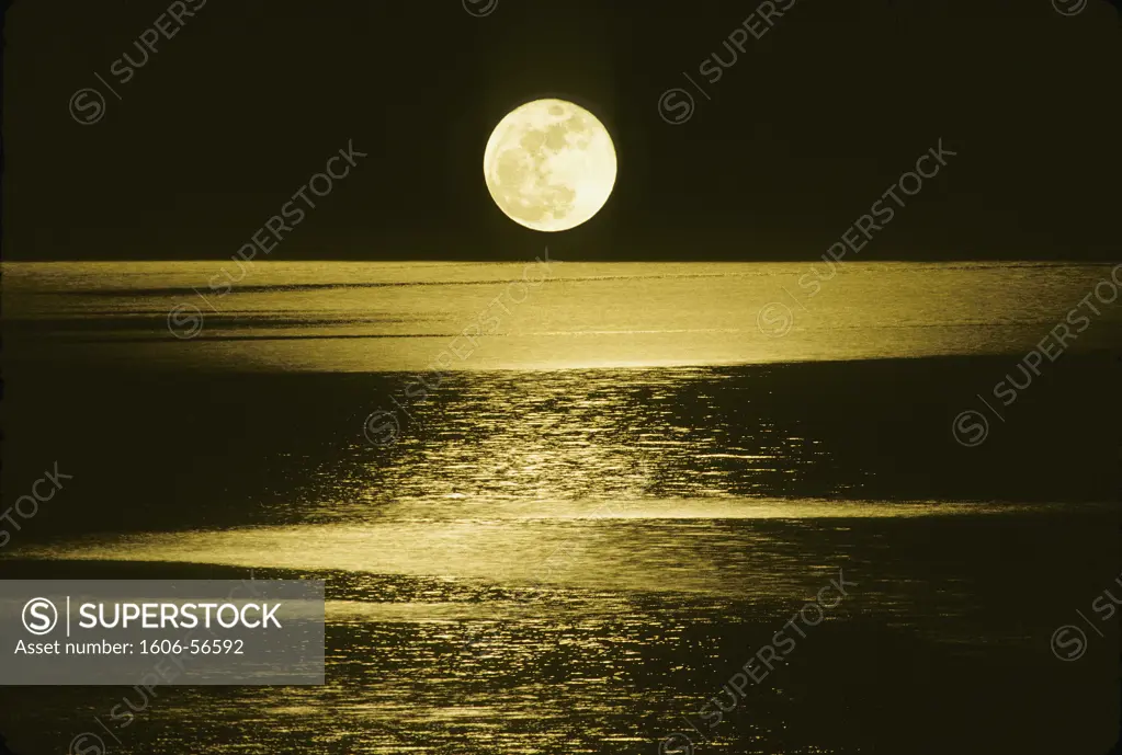 Moon over the sea, by night