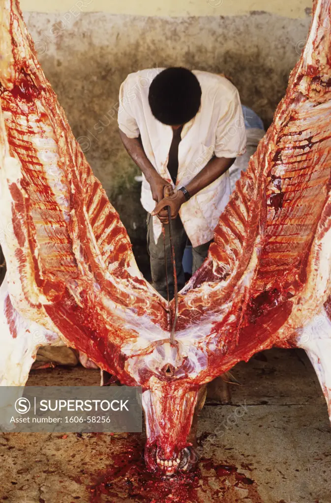 West Indies, Guadeloupe, Capesterre-Belle Eau, butcher at work